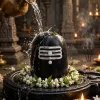 Sacred Shiva Lingam Abhishekam in a Temple Sanctuary